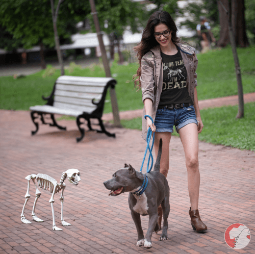 Attractive-woman-strolling-with-dog-donning-In-Dog-Years-Im-Dead-t-shirt-at-park