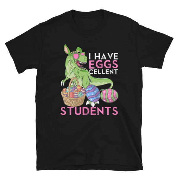 I-Have-Eggscellent-Students-Shirt
