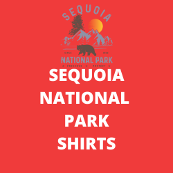 Sequoia National Park Shirts